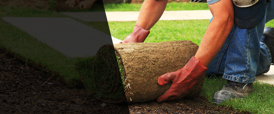 Newman Lake Landscapers